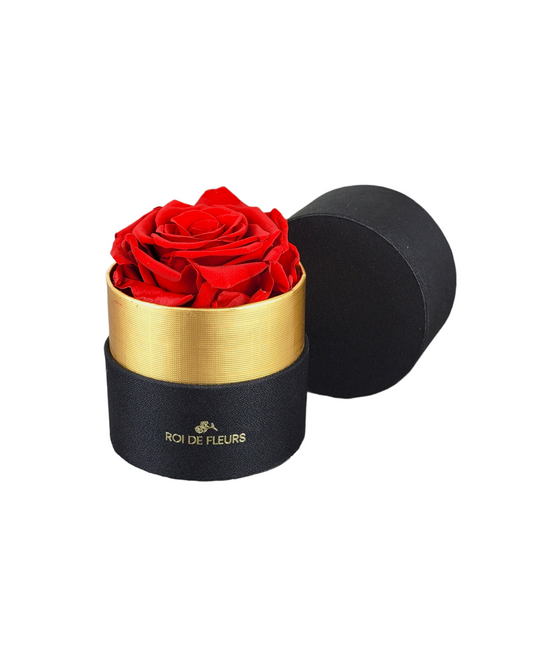 Single Red Rose in Black/Gold Hat Box