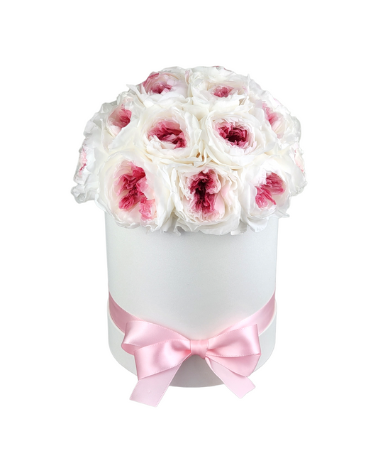 White/Blush David Austin Roses in Dome White Classic Hat Box