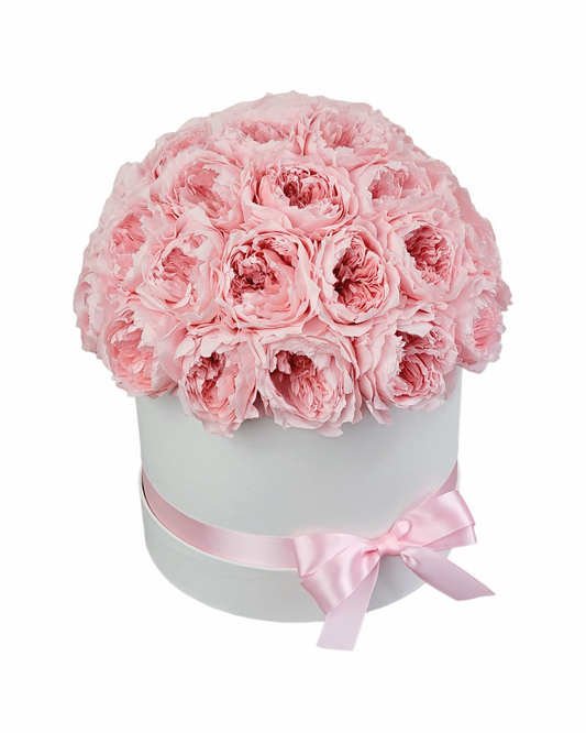 Blush David Austin Roses in Dome White Classic Hat Box