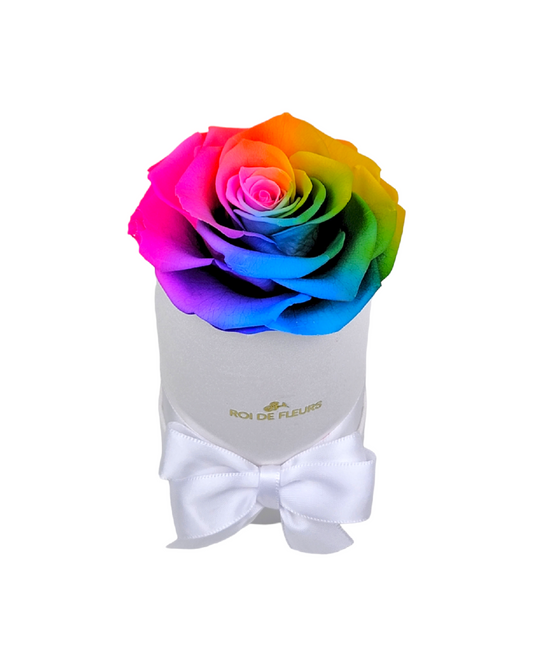 Single Rainbow Rose in White Classic Hat Box