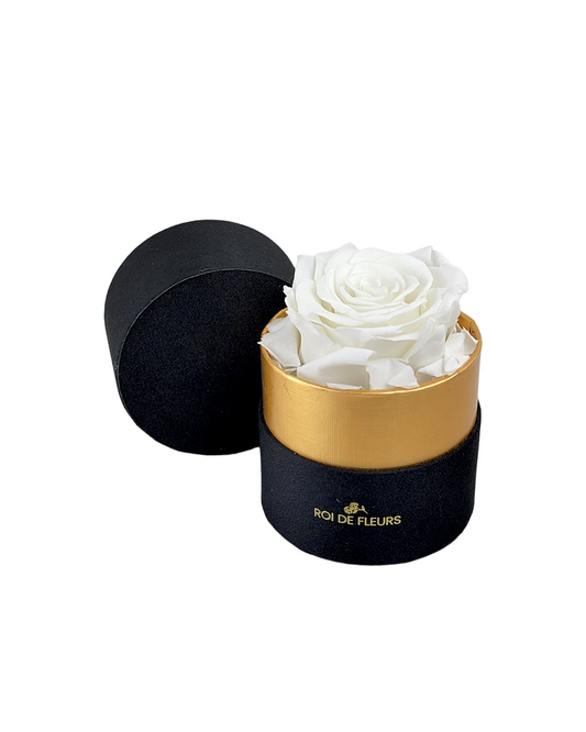 Single White Rose in Black/Gold Hat Box