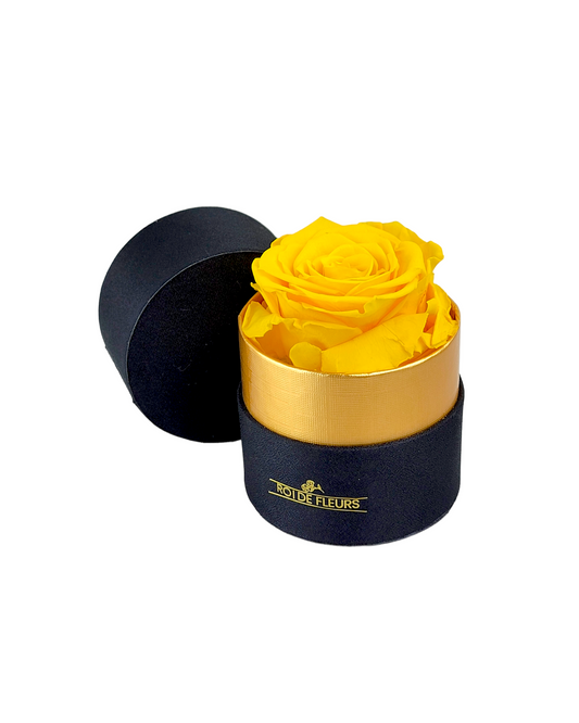 Single Yellow Rose in Black/Gold Hat Box