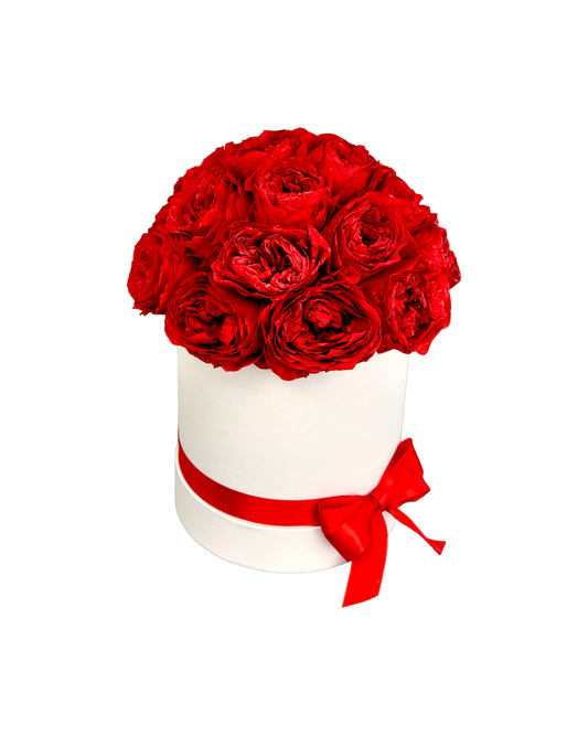 Red David Austin Roses in Dome White Classic Hat Box