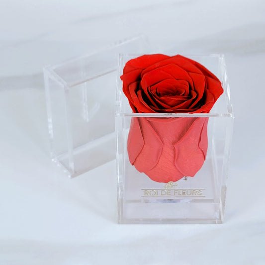 Single Red Rose in Acrylic Box